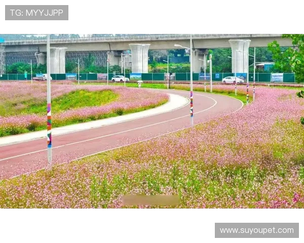 千骑竞速成都百公里绿道：穿越生态画卷的速度与诗意