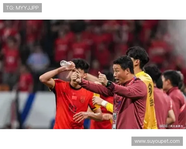 国足新帅敲定！东北铁三角领衔，郑智陈涛谁掌兵？