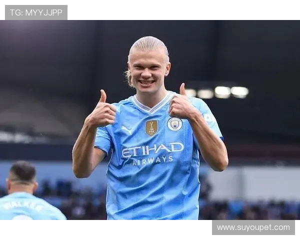 德转榜:哈兰德力压盖德 - 穆勒登顶国家队效率王 德转榜:哈兰德力压盖德 - 穆勒登顶国家队效率王